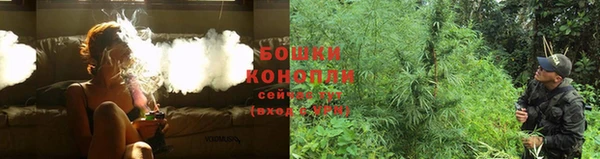 ГАЛЛЮЦИНОГЕННЫЕ ГРИБЫ Покачи