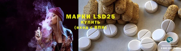 ГАЛЛЮЦИНОГЕННЫЕ ГРИБЫ Покачи