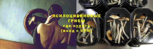 винт Пролетарск