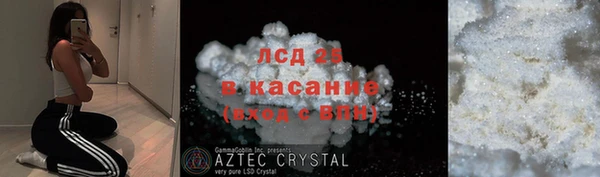 ГАЛЛЮЦИНОГЕННЫЕ ГРИБЫ Покачи