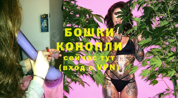 ГАЛЛЮЦИНОГЕННЫЕ ГРИБЫ Покачи
