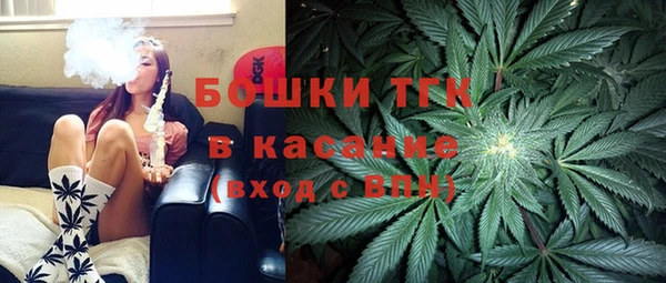 ГАЛЛЮЦИНОГЕННЫЕ ГРИБЫ Покачи