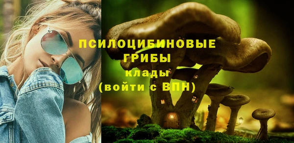 бутират Покровск