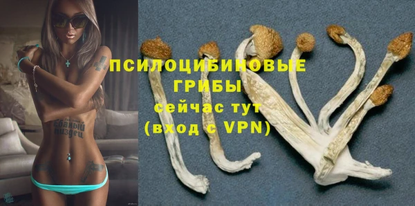 крисы Покров
