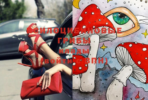 ГАЛЛЮЦИНОГЕННЫЕ ГРИБЫ Покачи