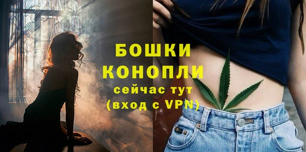 ГАЛЛЮЦИНОГЕННЫЕ ГРИБЫ Покачи