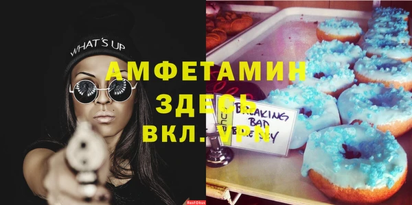 ГАЛЛЮЦИНОГЕННЫЕ ГРИБЫ Покачи