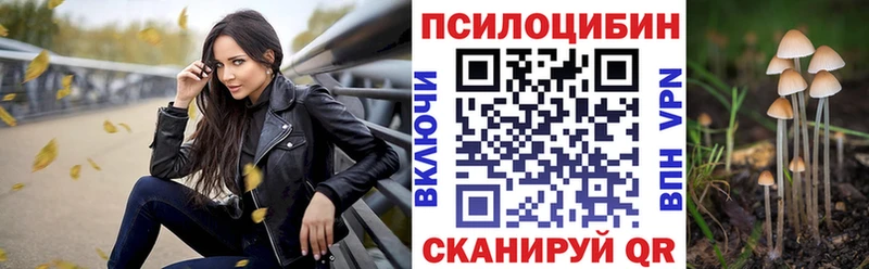 Купить закладки Солнечногорск Псилоцибиновые грибы прущие грибы