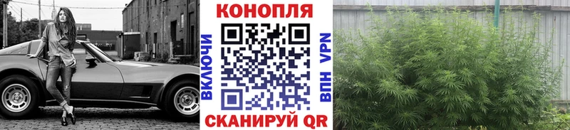 Купить где  Солнечногорск  Каннабис марихуана 